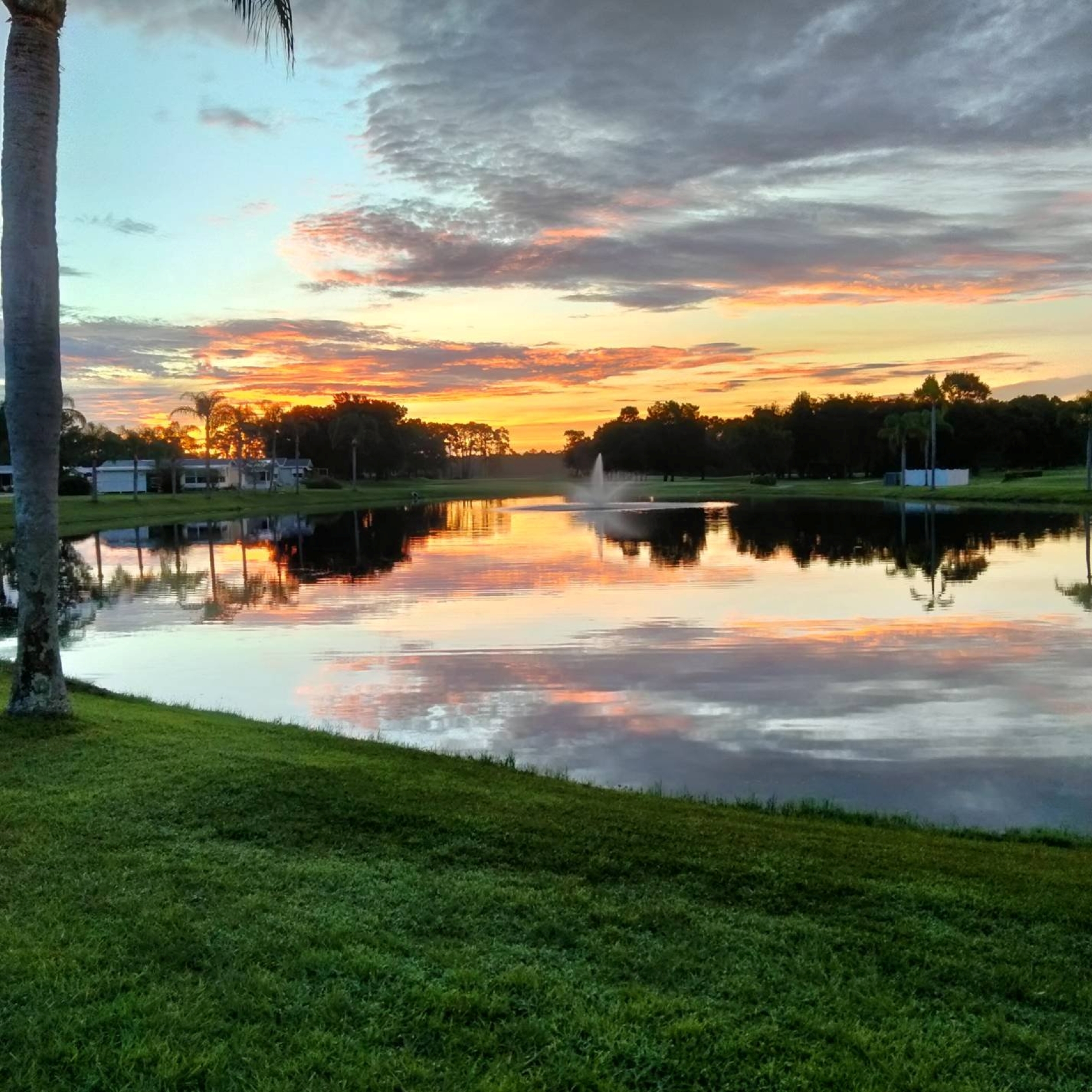Image of golf ball on tee on grass.